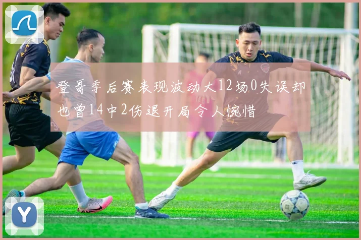 登哥季后赛表现波动大12场0失误却也曾14中2伤退开局令人惋惜